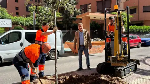 Castellón refuerza su renaturalización con más de 2.145 árboles y nuevas zonas verdes Castellón refuerza su renaturalización con más de 2.145 árboles y nuevas zonas verdes