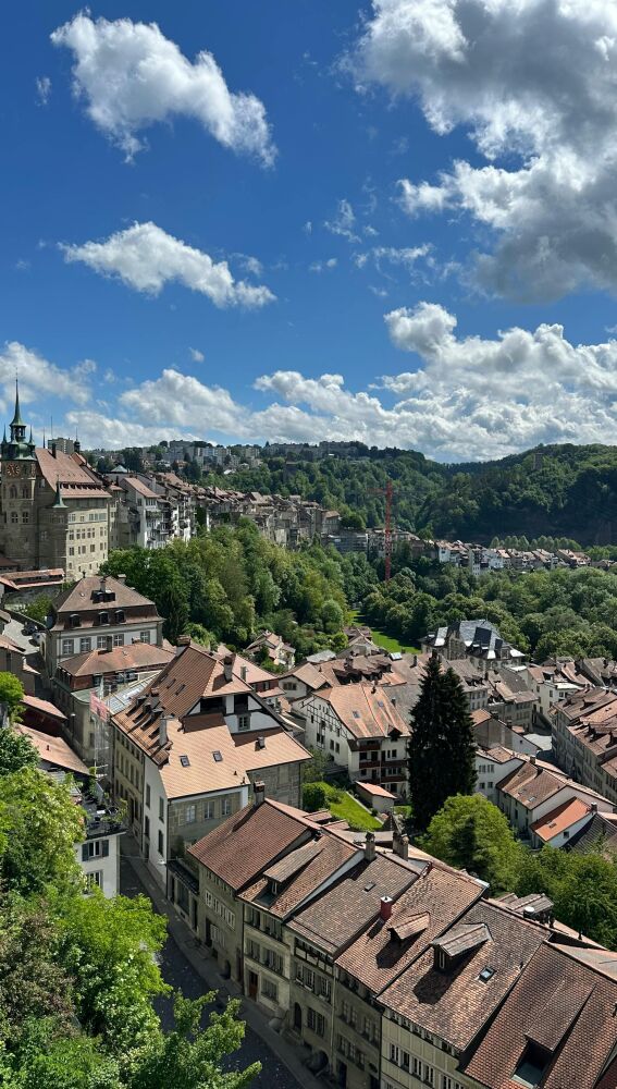 Friburgo -Suiza