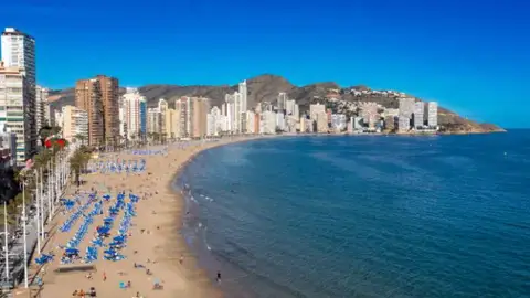 enidorm compensa su huella de carbono con la plantación de 1.800 árboles en la Marina Alta enidorm compensa su huella de carbono con la plantación de 1.800 árboles en la Marina Alta