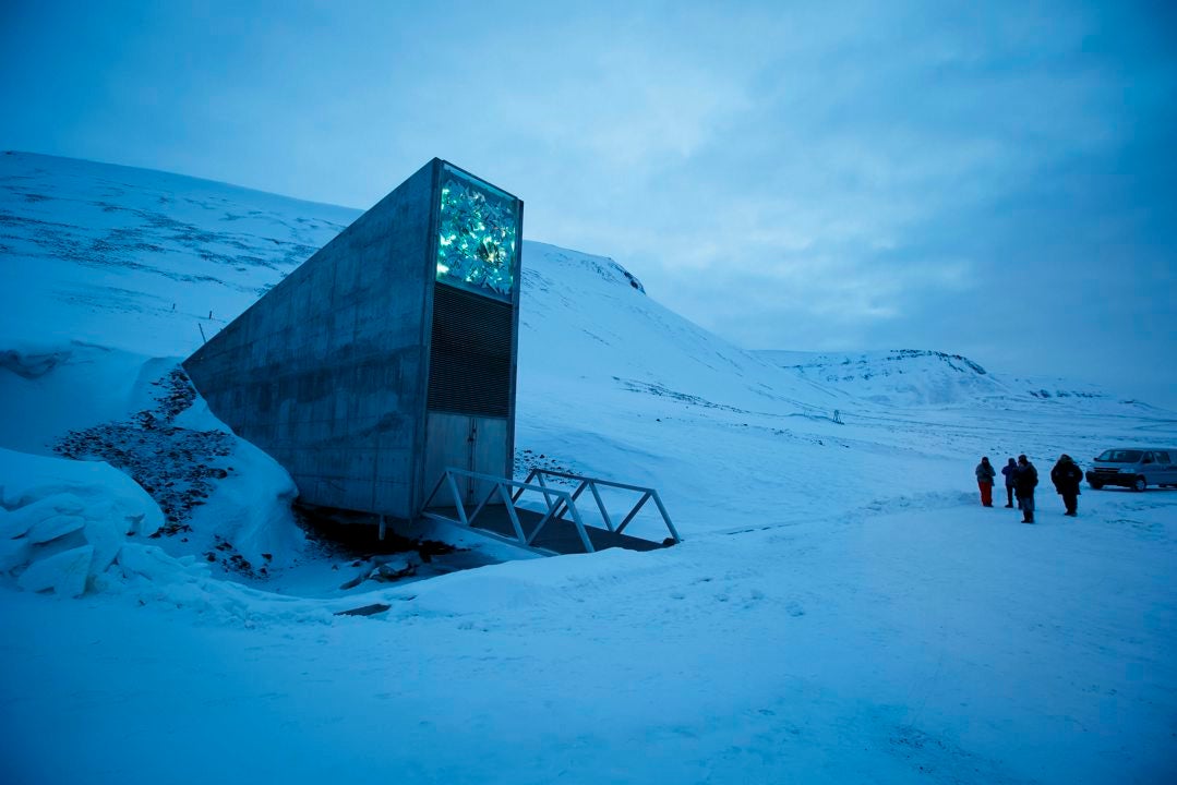 Entrada de la Bóveda Global de Semillas de Svalbard (SGSV), Entrada de la Bóveda Global de Semillas de Svalbard (SGSV),