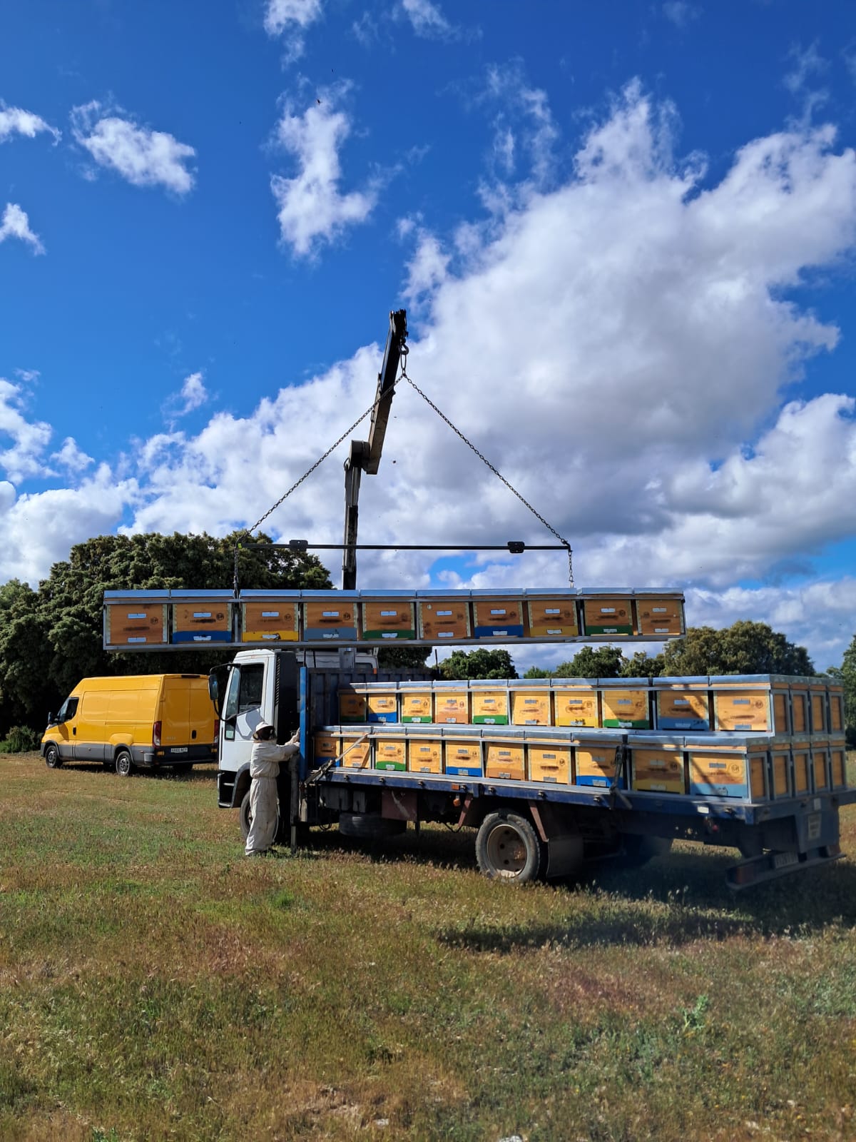 Celebramos el Día Mundial de las abejas conociendo el oficio de apicultor con Mieles 5 panales Celebramos el Día Mundial de las abejas conociendo el oficio de apicultor con Mieles 5 panales