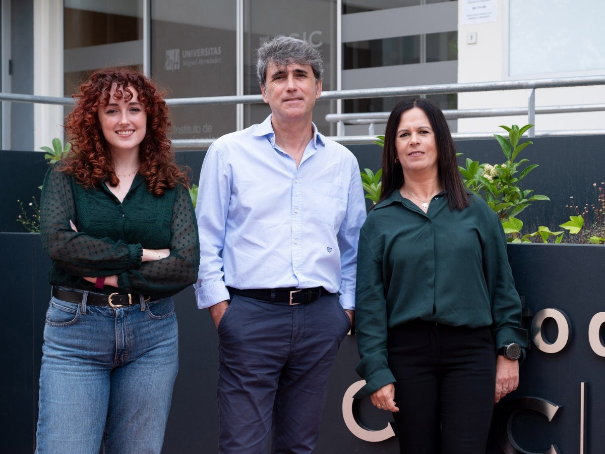 Un estudio de Fisabio y el Instituto de Neurociencias de la UMH de Elche identifica alteraciones en una proteína implicada en el desarrollo de Alzheimer Un estudio de Fisabio y el Instituto de Neurociencias de la UMH de Elche identifica alteraciones en una proteína implicada en el desarrollo de Alzheimer