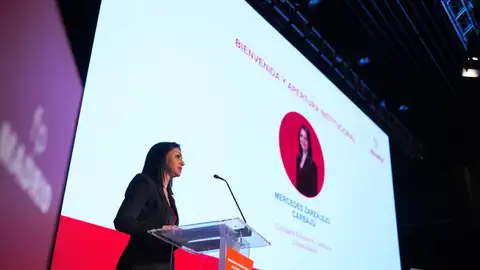 La Comunidad de Madrid abrirá los colegios mayores en verano para estudiantes y sus familias y atraer talento universitario La Comunidad de Madrid abrirá los colegios mayores en verano para estudiantes y sus familias y atraer talento universitario
