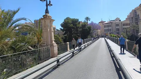 Puente de Canalejas de Elche. Puente de Canalejas de Elche.