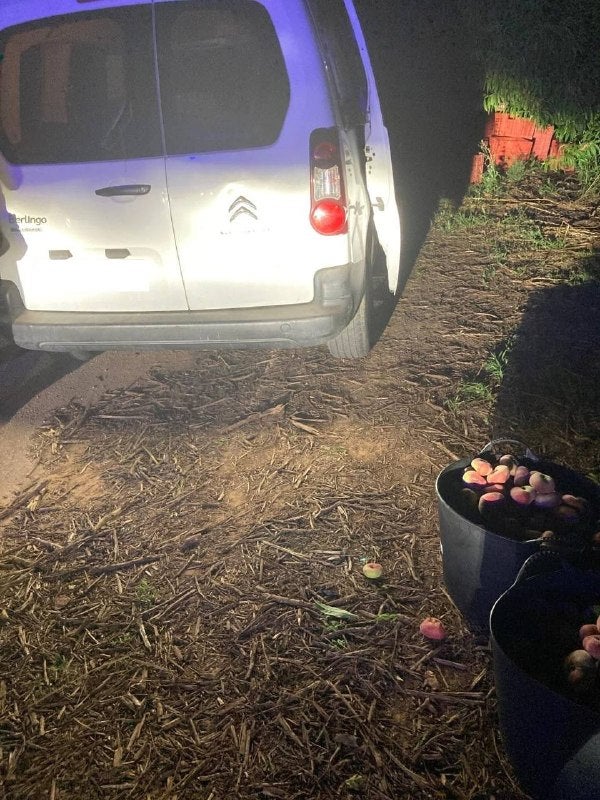 La Policía Local de Carlet evita un robo agrícola La Policía Local de Carlet evita un robo agrícola