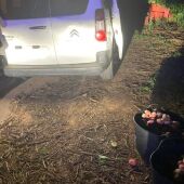 La Policía Local de Carlet evita un robo agrícola