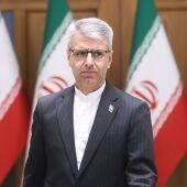 Esmail Baghaei, portavoz del ministro de Asuntos Exteriores iraní