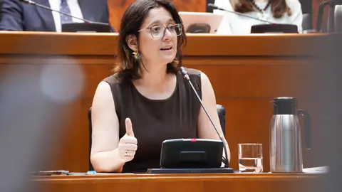 La consejera de Economía, Eva Valle, ha comparecido en Comisión para dar a conocer los ejes de su Departamento La consejera de Economía, Eva Valle, ha comparecido en Comisión para dar a conocer los ejes de su Departamento