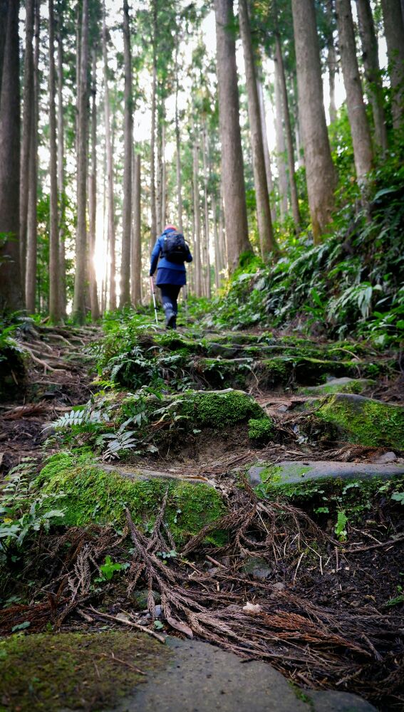 Peregrino en el Kumano Kodo
