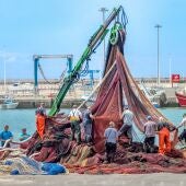 Pescadores faenando en la costa gaditana