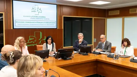 Bingen Zupiria comparece en el Parlamento Vasco Bingen Zupiria comparece en el Parlamento Vasco