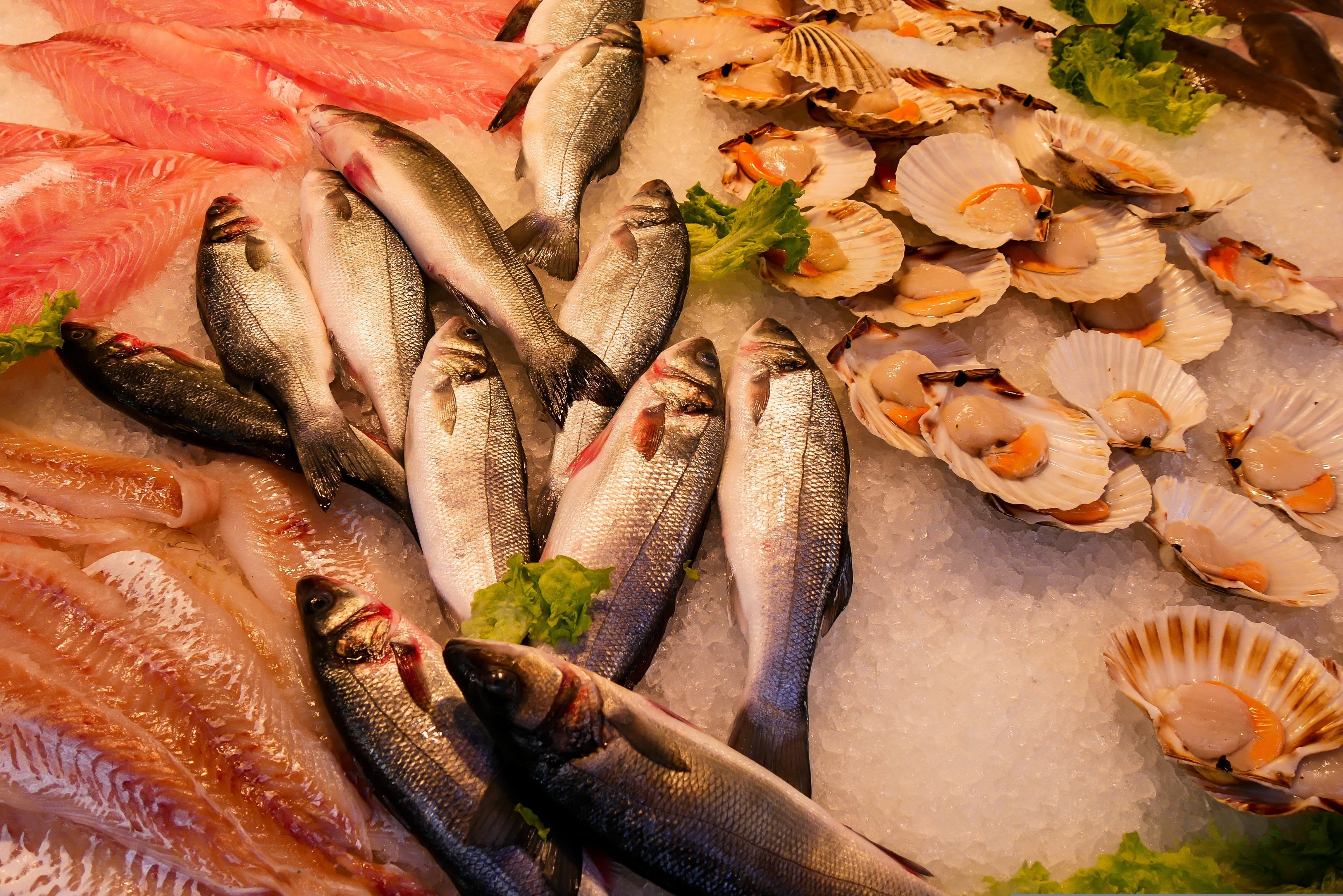 Pescado envasado vs pescado de pescadería: la OCU analiza los pros y contras y alerta del sobrecoste de uno de ellos Pescado envasado vs pescado de pescadería: la OCU analiza los pros y contras y alerta del sobrecoste de uno de ellos