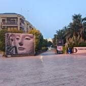 Elche.