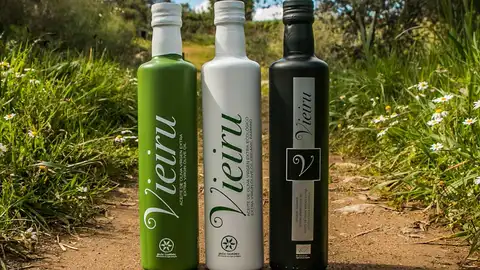 Extremadura suma varios premios en vinos, aceites y vinagres en el certamen CINVE 2026 Extremadura suma varios premios en vinos, aceites y vinagres en el certamen CINVE 2026