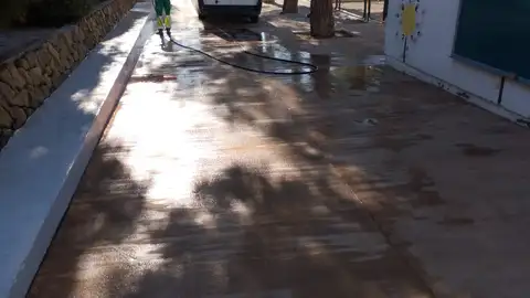 La Empresa pública de Altea abre nuevas bolsas de empleo para peones de limpieza viaria y maquinistas/tractoristas La Empresa pública de Altea abre nuevas bolsas de empleo para peones de limpieza viaria y maquinistas/tractoristas