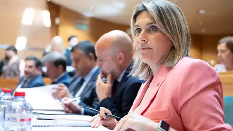 Marta Barrachina reclama ante la FEMP la actualización urgente de las entregas a cuenta para las entidades locales Marta Barrachina reclama ante la FEMP la actualización urgente de las entregas a cuenta para las entidades locales
