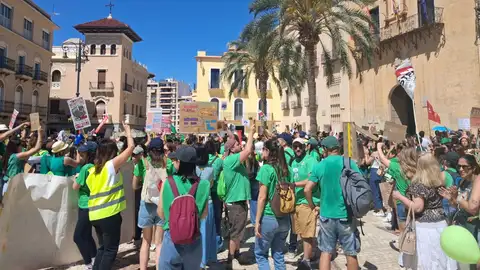Profesores concentrados en la plaza de Baix de Elche. Profesores concentrados en la plaza de Baix de Elche.