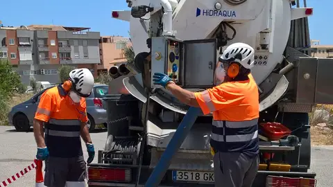 Prosigue la 2ª campaña de desinsectación en el término municipal de l’Alfàs del Pi Prosigue la 2ª campaña de desinsectación en el término municipal de l’Alfàs del Pi