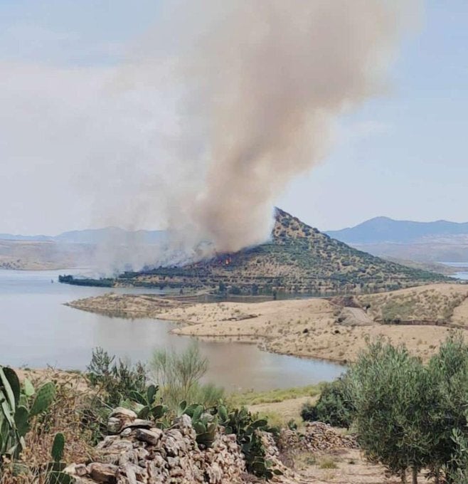 Estabilizado un incendio forestal en el Cerro Masatrigo tras intervenir medios terrestres y aéreos Estabilizado un incendio forestal en el Cerro Masatrigo tras intervenir medios terrestres y aéreos