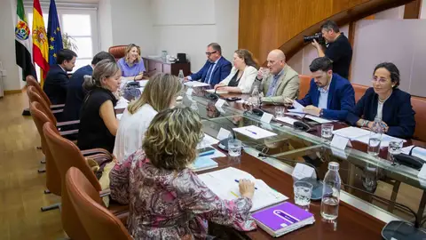 La Junta de Extremadura invertirá 44'8 millones de euros en la ciudad de Mérida durante 2026 La Junta de Extremadura invertirá 44'8 millones de euros en la ciudad de Mérida durante 2026