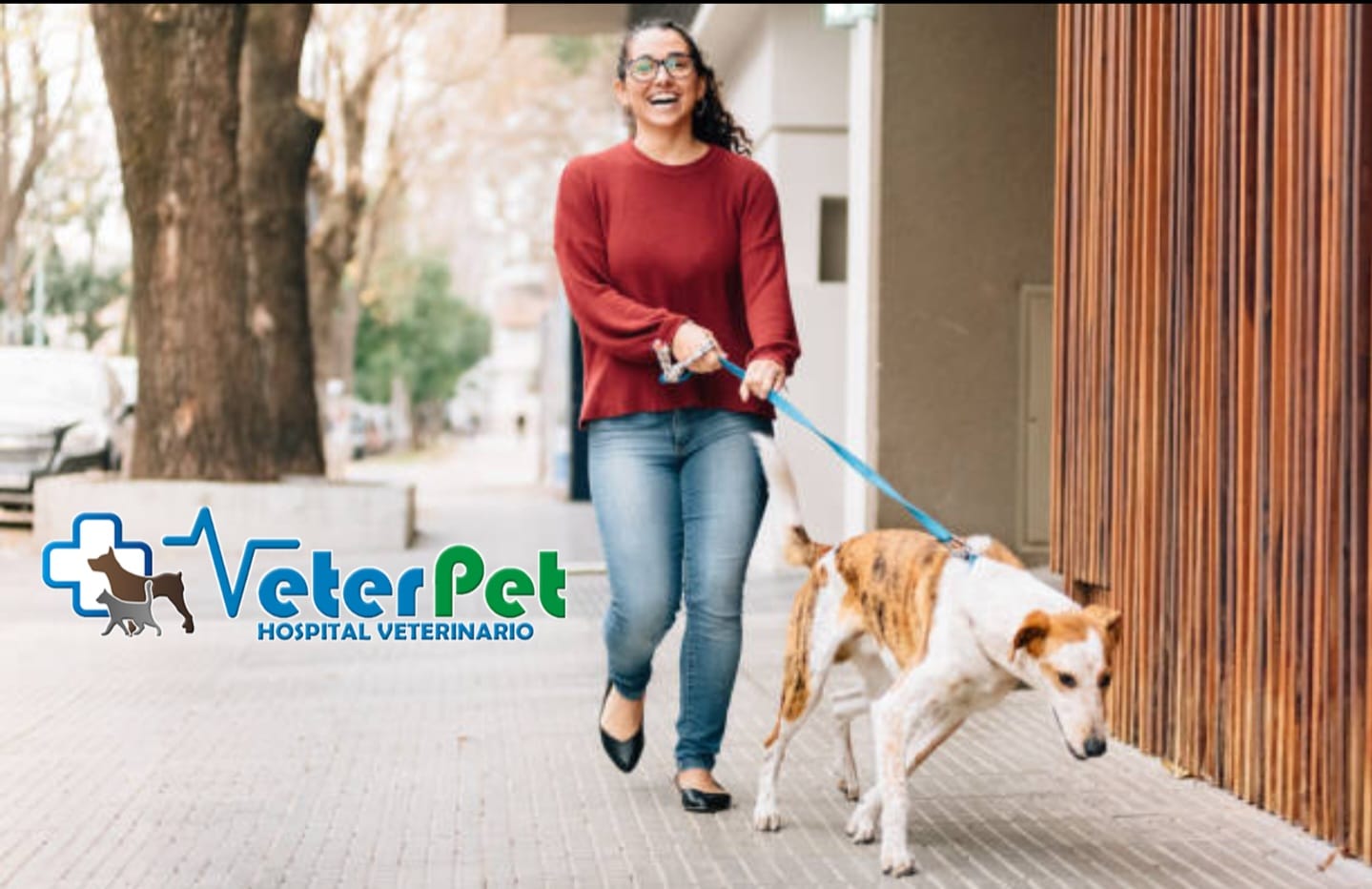 Si tu perro sale acelerado, tirando o reaccionando a todo, la clave puede estar en el orden para preparamos a salir de paseo Si tu perro sale acelerado, tirando o reaccionando a todo, la clave puede estar en el orden para preparamos a salir de paseo