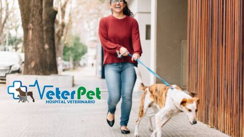 VETERPET VETERPET