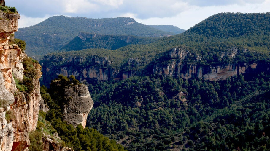 Parc Natural de Muntanyes de Prades