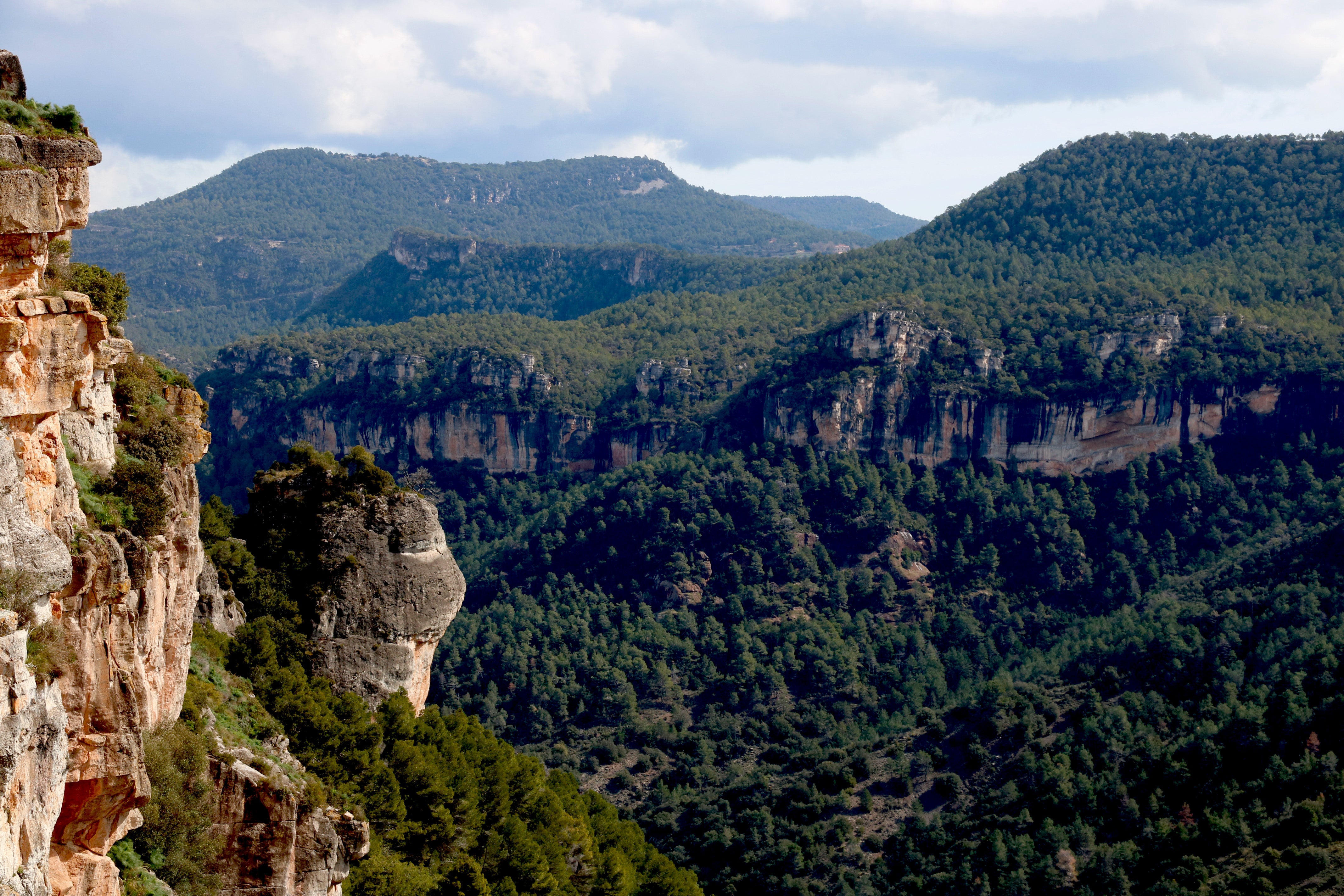 El Govern publica al DOGC la proposta del Parc Natural de les Muntanyes de Prades El Govern publica al DOGC la proposta del Parc Natural de les Muntanyes de Prades
