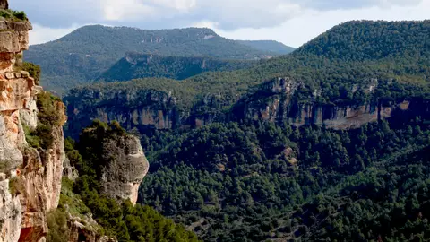 Parc Natural de Muntanyes de Prades Parc Natural de Muntanyes de Prades