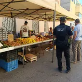 Nules implanta un sistema de control de venta ambulante de fruta para evitar robos en el campo Nules implanta un sistema de control de venta ambulante de fruta para evitar robos en el campo