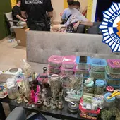 La Policía Local de Benidorm detiene a cinco personas por tráfico de drogas en un club cannábico La Policía Local de Benidorm detiene a cinco personas por tráfico de drogas en un club cannábico