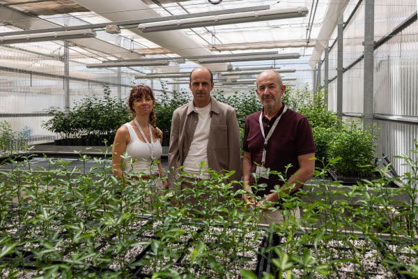 L'UJI i GEA Biotechnology desenvolupen una suspensió aquosa antifúngica per a prevenir les infeccions per fongs en cultius i fruites en les etapes pre i postcollita L'UJI i GEA Biotechnology desenvolupen una suspensió aquosa antifúngica per a prevenir les infeccions per fongs en cultius i fruites en les etapes pre i postcollita