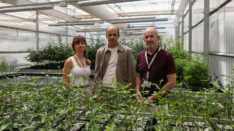 L'UJI i GEA Biotechnology desenvolupen una suspensió aquosa antifúngica per a prevenir les infeccions per fongs en cultius i fruites en les etapes pre i postcollita L'UJI i GEA Biotechnology desenvolupen una suspensió aquosa antifúngica per a prevenir les infeccions per fongs en cultius i fruites en les etapes pre i postcollita