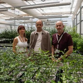 L'UJI i GEA Biotechnology desenvolupen una suspensió aquosa antifúngica per a prevenir les infeccions per fongs en cultius i fruites en les etapes pre i postcollita L'UJI i GEA Biotechnology desenvolupen una suspensió aquosa antifúngica per a prevenir les infeccions per fongs en cultius i fruites en les etapes pre i postcollita