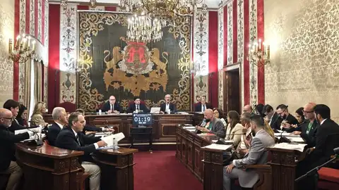 Pleno del ayuntamiento de Alicante Pleno del ayuntamiento de Alicante