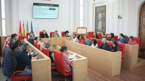 Pleno Municipal M&eacute;rida