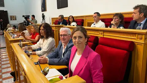 No sale adelante la propuesta del PSOE de climatizar 16 colegios de Toledo No sale adelante la propuesta del PSOE de climatizar 16 colegios de Toledo