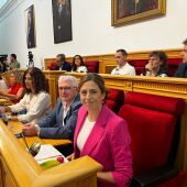 No sale adelante la propuesta del PSOE de climatizar 16 colegios de Toledo