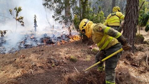 Canarias activa este lunes la campa&ntilde;a contra incendios forestales de 2026: M&aacute;s de 2.600 efectivos y 19 medios a&eacute;reos