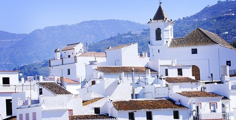 Los nísperos de Sayalonga Los nísperos de Sayalonga