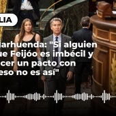 Montaje de Feijóo en el Congreso de los Diputados