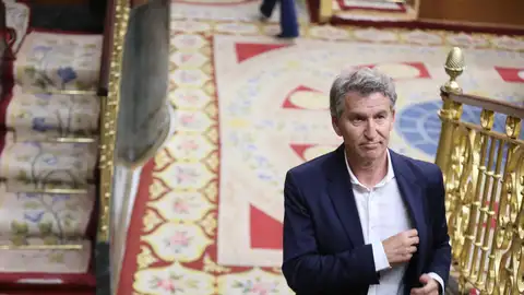 El presidente del PP, Alberto Núñez Feijóo, asiste al pleno del Congreso de los Diputados celebrado este martes en Madrid El presidente del PP, Alberto Núñez Feijóo, asiste al pleno del Congreso de los Diputados celebrado este martes en Madrid