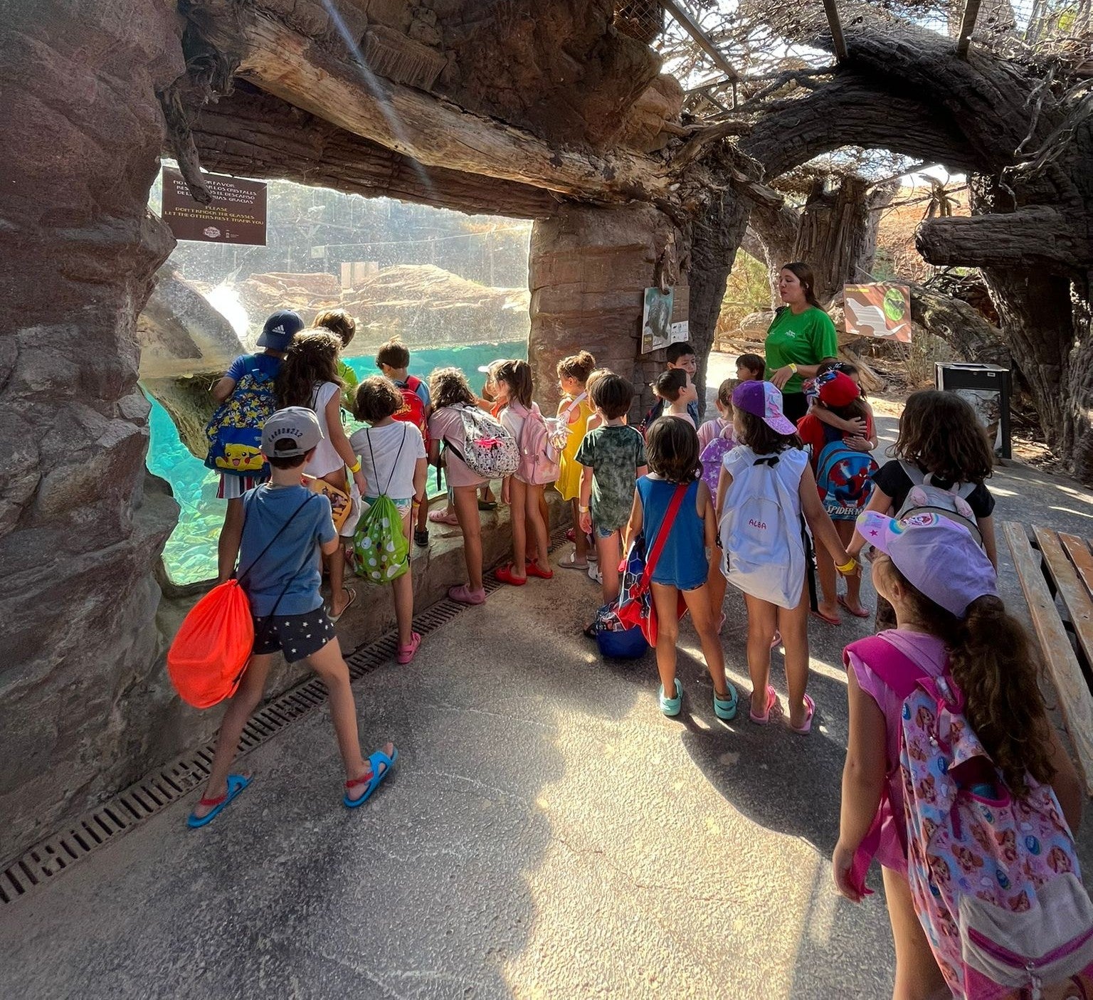 Terra Natura Murcia convierte las vacaciones en una aventura con su escuela de verano y campus de adolescentes Terra Natura Murcia convierte las vacaciones en una aventura con su escuela de verano y campus de adolescentes