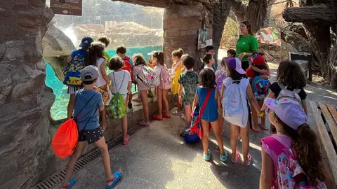 Terra Natura Murcia convierte las vacaciones en una aventura con su escuela de verano y campus de adolescentes Terra Natura Murcia convierte las vacaciones en una aventura con su escuela de verano y campus de adolescentes