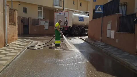 Nohales limpieza intensiva Nohales limpieza intensiva