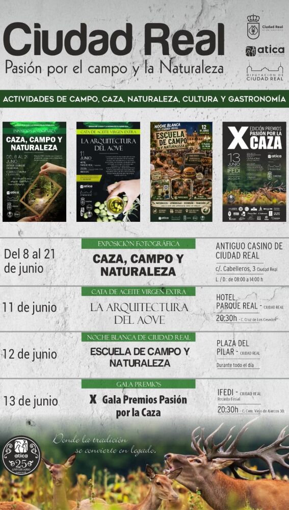 Actividades programadas