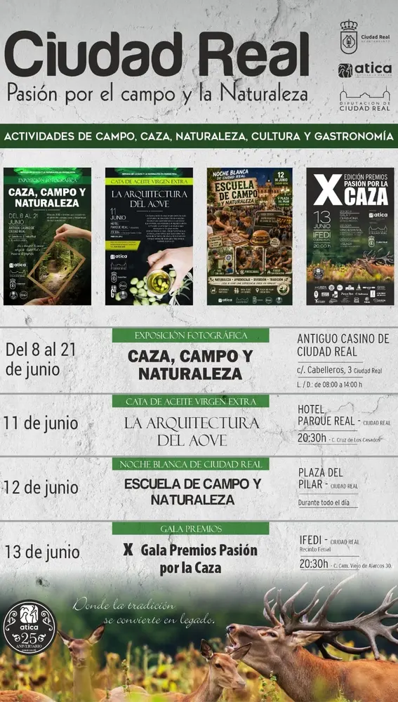 Actividades programadas Actividades programadas