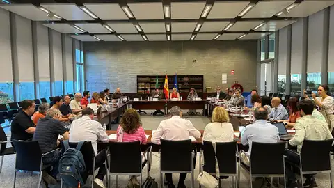 La Mesa General de Negociación aprueba un reglamento de funcionamiento y la constitución de 5 grupos de trabajo La Mesa General de Negociación aprueba un reglamento de funcionamiento y la constitución de 5 grupos de trabajo