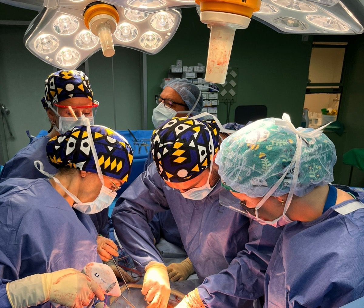 Canarias registra 62 donantes de órganos en lo que va de año y un incremento del diecisiete por ciento Canarias registra 62 donantes de órganos en lo que va de año y un incremento del diecisiete por ciento