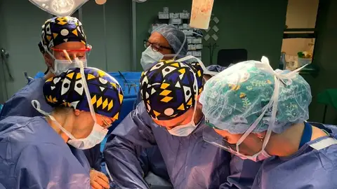 Canarias registra 62 donantes de órganos en lo que va de año y un incremento del diecisiete por ciento Canarias registra 62 donantes de órganos en lo que va de año y un incremento del diecisiete por ciento
